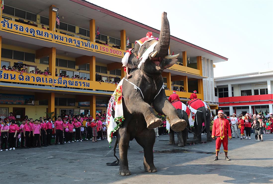 AP - Ελέφαντες - δώρα - μαθητές - Ταϊλάνδη