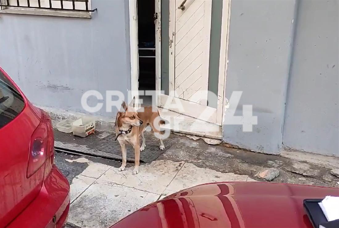 Κρήτη - σκύλος - 53χρονος - νεκρό αφεντικό