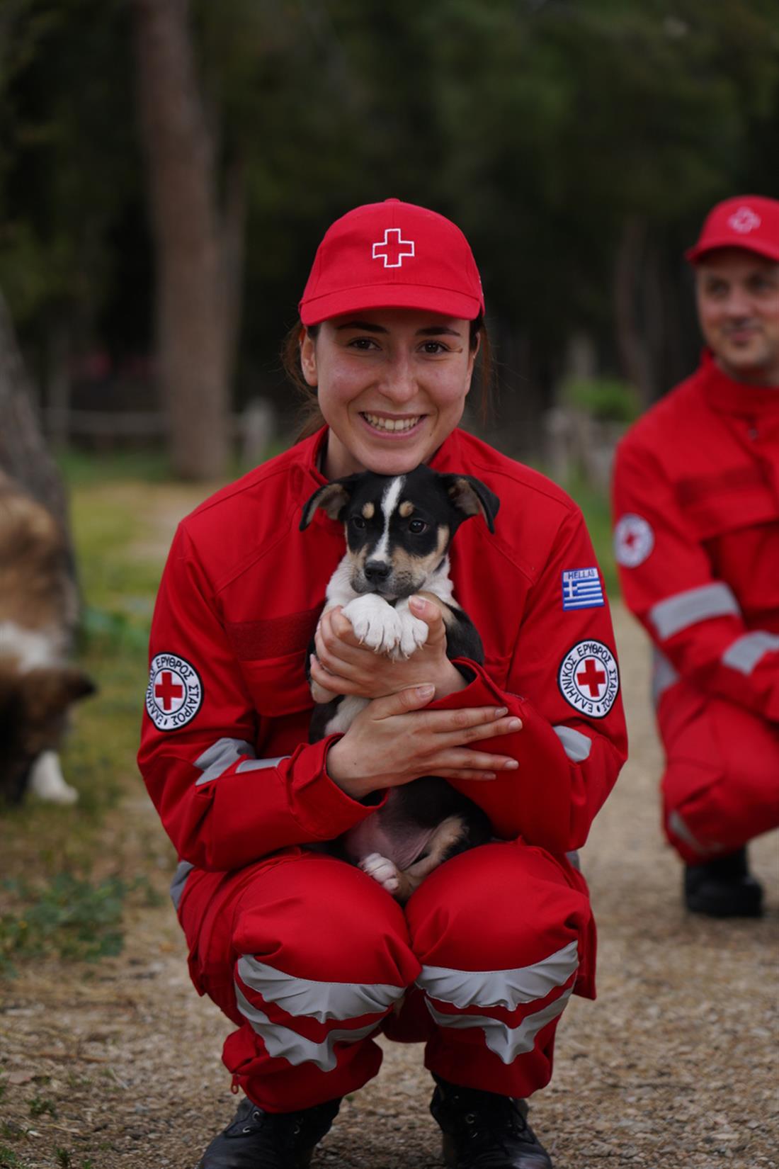 Παγκόσμια Ημέρα Αδέσποτων Ζώων - Ελληνικός Ερυθρός Σταυρός - αδέσποτα - Φιλοζωικός Σύλλογος Νέας Φιλαδέλφειας