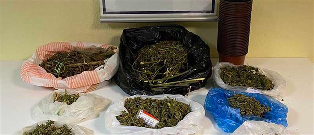 Κρήτη: Συλλήψεις για ναρκωτικά σε Ηράκλειο και Σητεία