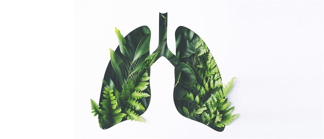 “Πνευμόνων Υγεία”: Το πρόγραμμα που σώζει ζωές