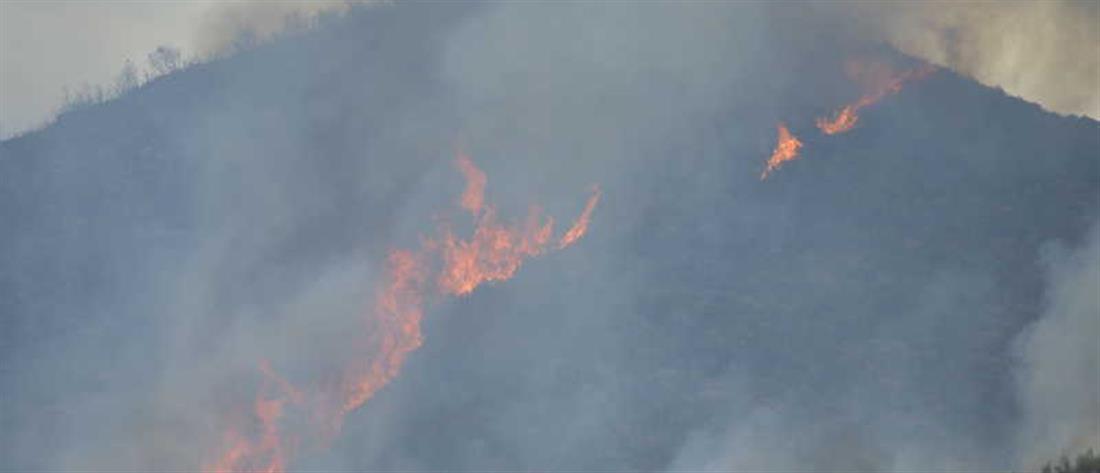 Φωτιές σε Μεσολόγγι και Ηλεία: Η εικόνα στα πύρινα μέτωπα