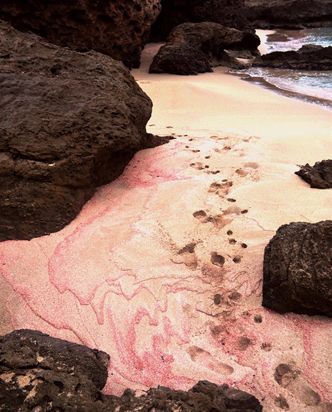 παραλία - Φαλάσαρνα - ροζ άμμος