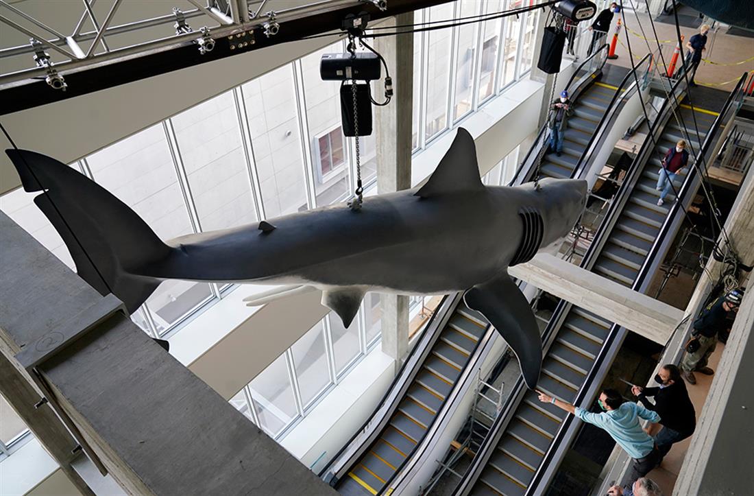 AP - Σαγόνια του Καρχαρία - Μουσείο των Όσκαρ - Λος Άντζελες