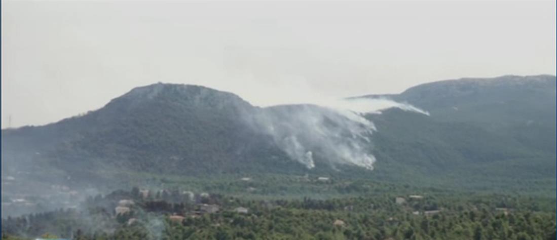 Φωτιά στην Αττική - Θρακομακεδόνες -  Κρυονέρι -  ΕΚΤΑΚΤΟ ΔΕΛΤΙΟ