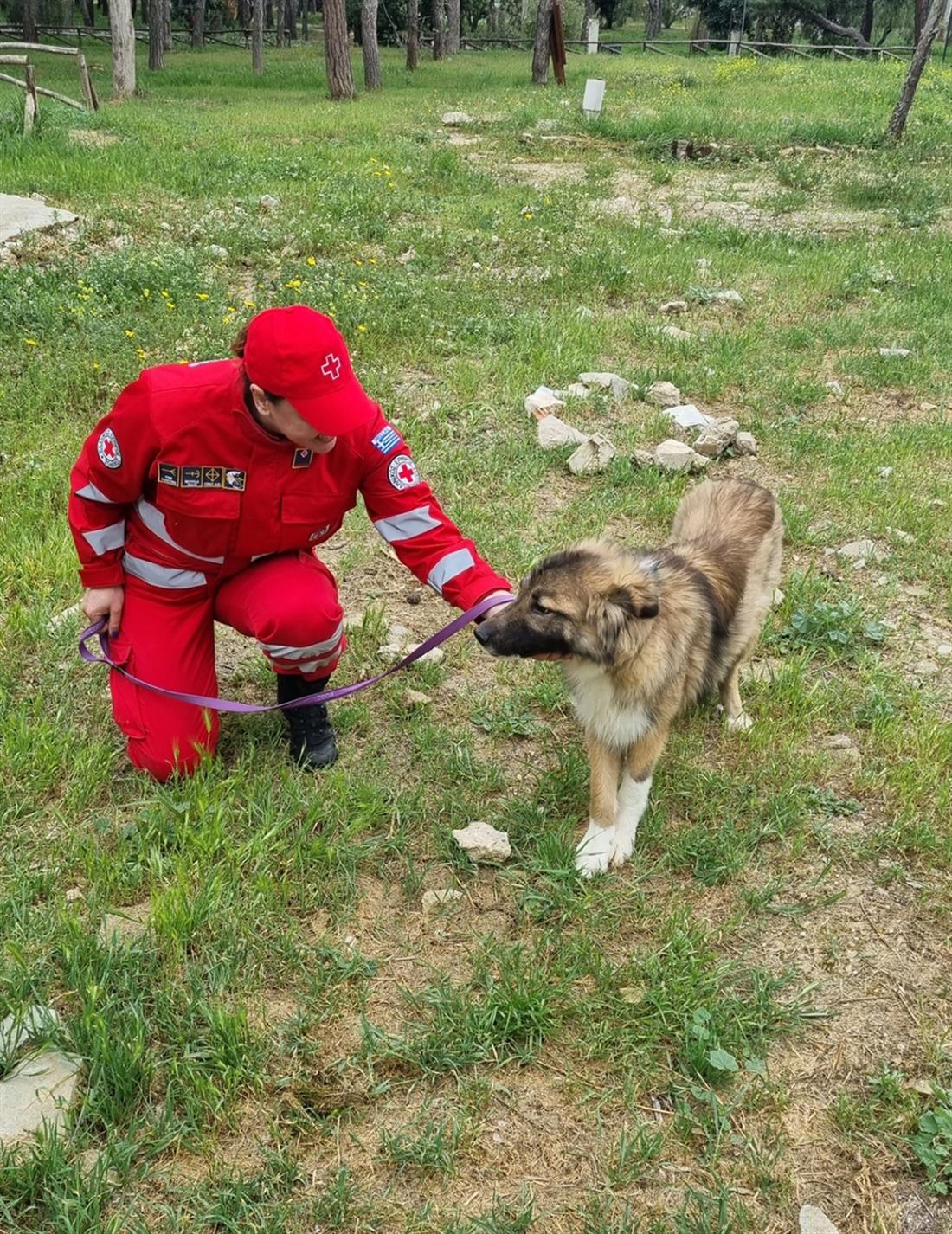 Ελληνικός Ερυθρός Σταυρός - Παγκόσμια Ημέρα Ζώων - σεμινάρια - Πρώτες Βοήθειες - κατοικίδια
