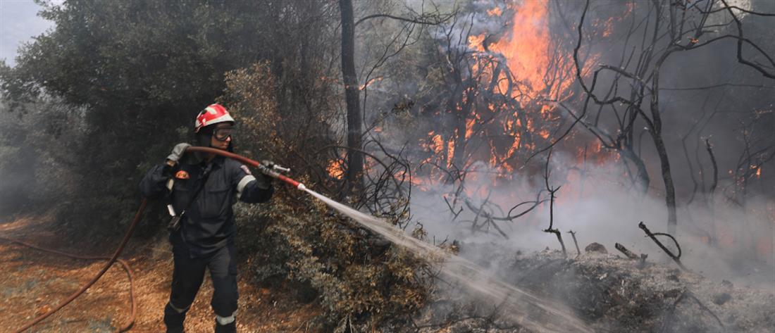 Πυροσβεστική: Κάηκαν 1.301.239 στρέμματα από τις αρχές του 2021