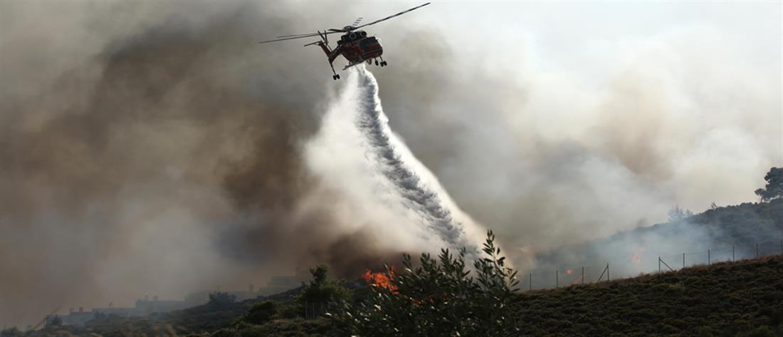 Πυροσβεστική: Πάνω από 40 δασικές πυρκαγιές σε 24 ώρες