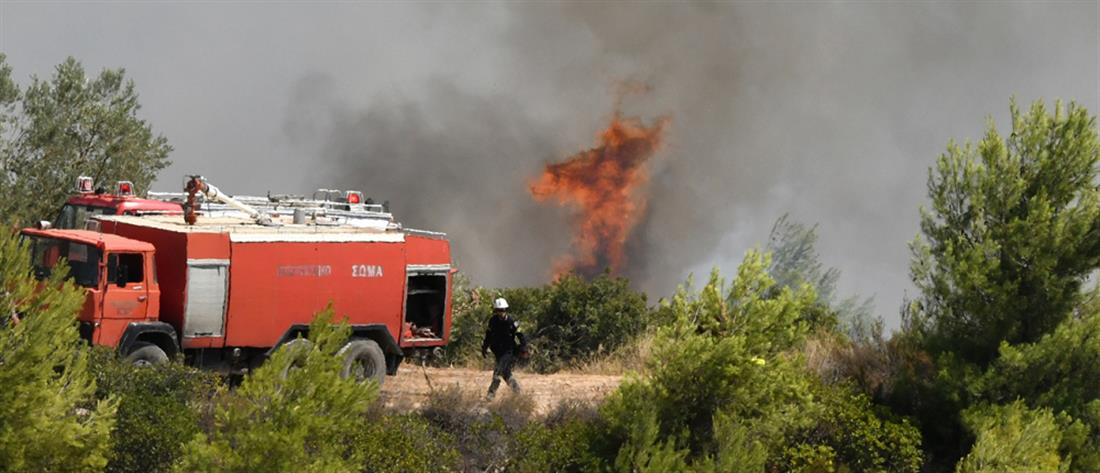 Φωτιά στην Κορινθία: συνεχίζεται η μάχη με τις φλόγες (εικόνες)