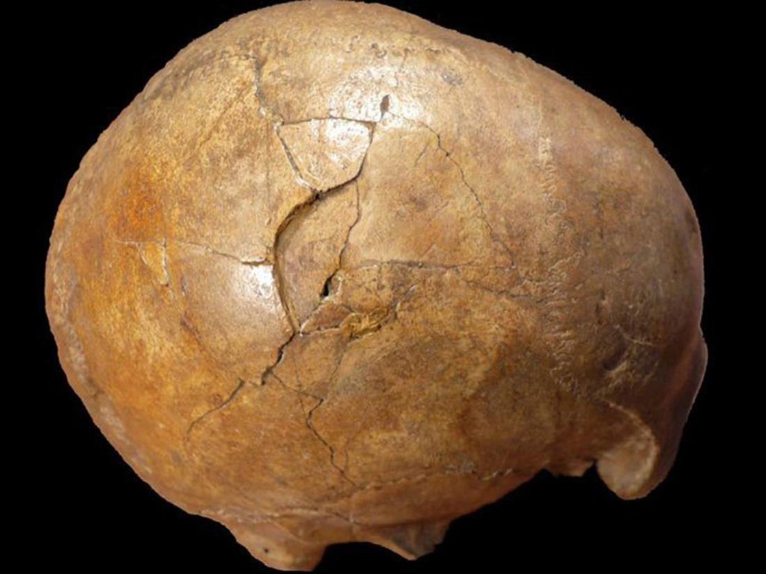 φόνος 33.000 ετών - ρόπαλο - κρανίο