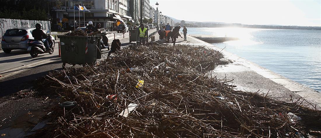 Κακοκαιρία – Θεσσαλονίκη: κλαδιά και…σκουπίδια στην παραλία (εικόνες)