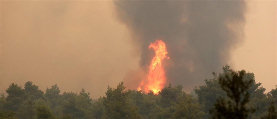 Εύβοια - Φωτιά - Πυρκαγιά - Δάσος - Ελικόπτερο