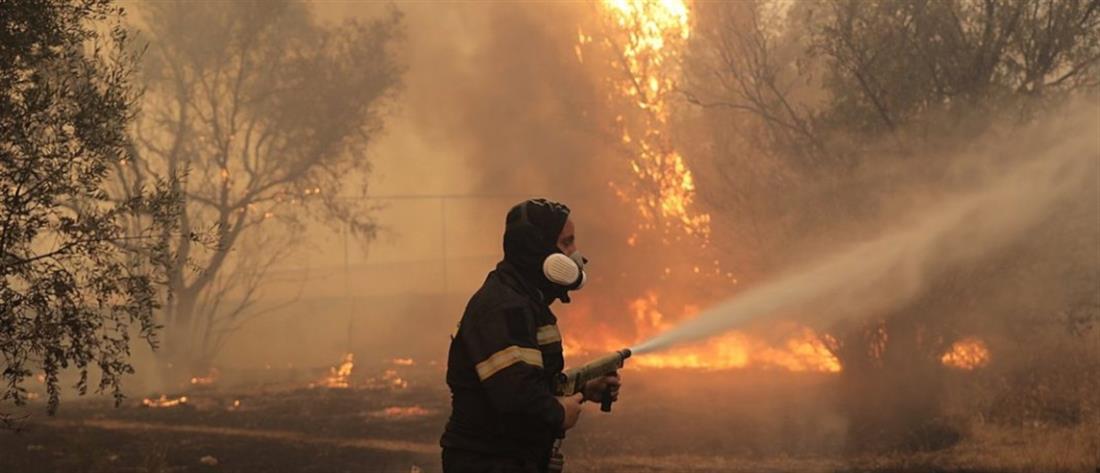 Φωτιές: πύρινα μέτωπα σε πολλές περιοχές της Ελλάδας
