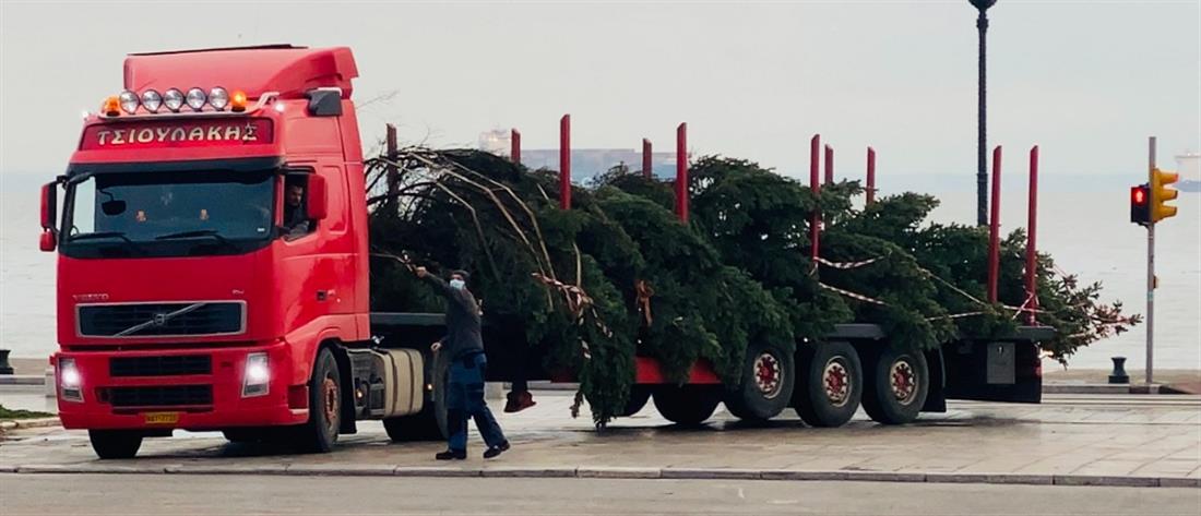 Θεσσαλονίκη: Το χριστουγεννιάτικο δέντρο στήθηκε στην Αριστοτέλους