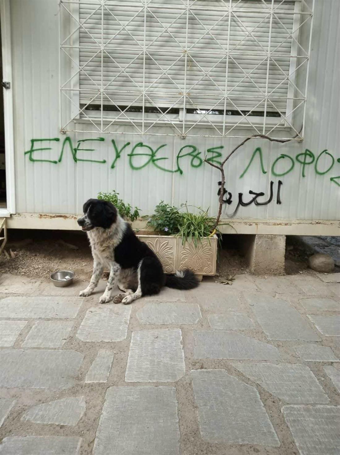 ΠΕΥΦΑ - ΦΙΛΟΠΑΠΠΟΥ - ΠΝΥΚΑ - ΒΑΝΔΑΛΙΣΜΟΙ