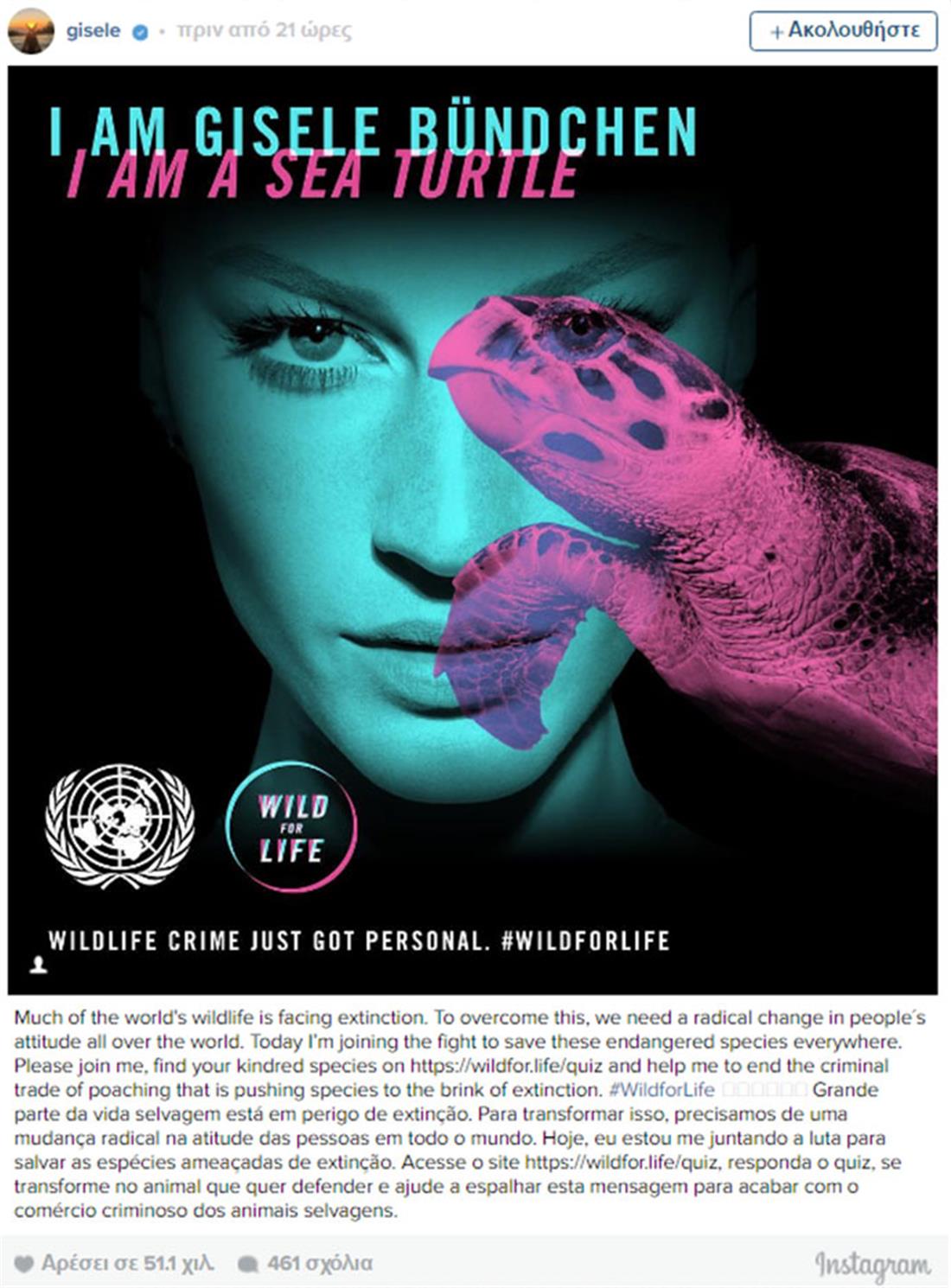 Gisele - θαλάσσια χελώνα - εκστρατεία - Ηνωμένα Έθνη - Ζιζέλ Μπούντχεν
