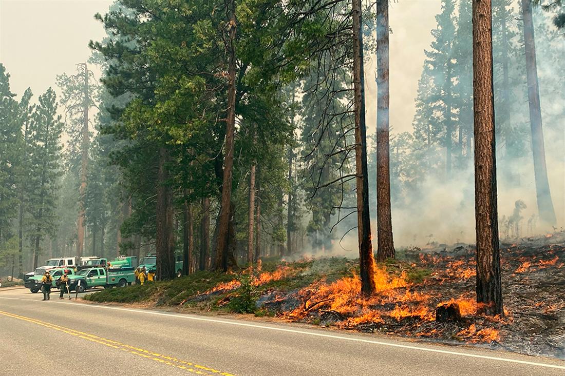 AP - Πυρκαγιά - πάρκο Γιοσέμιτι - Καλιφόρνια
