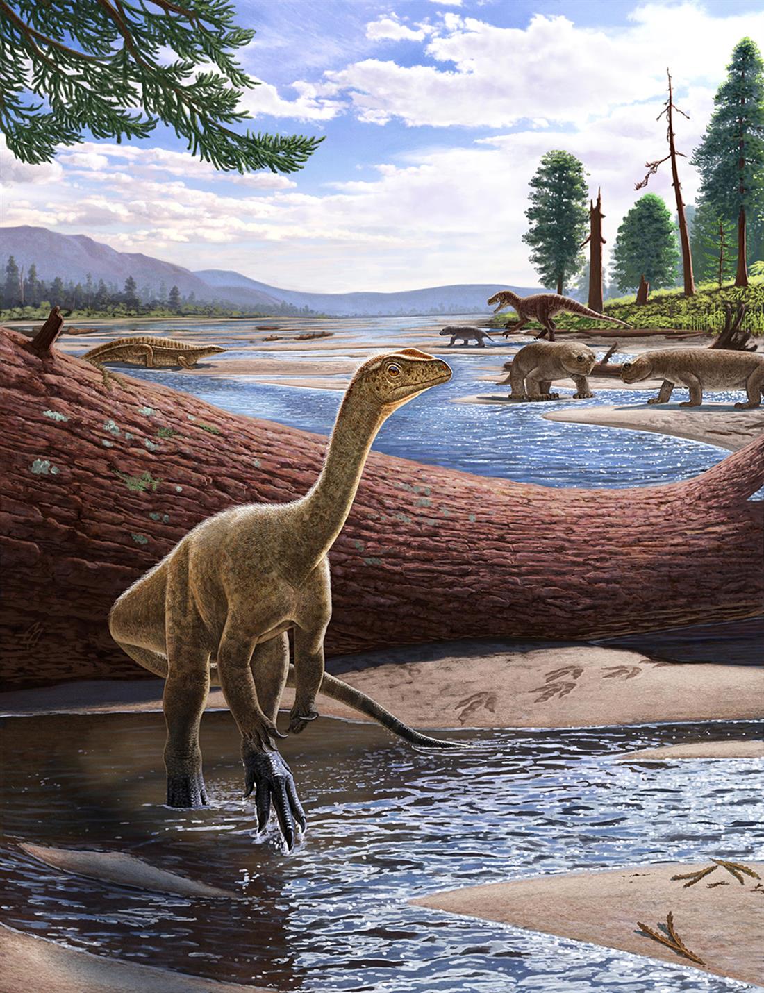 Mbiresaurus - αρχαιότερος δεινόσαυρος της Αφρικής
