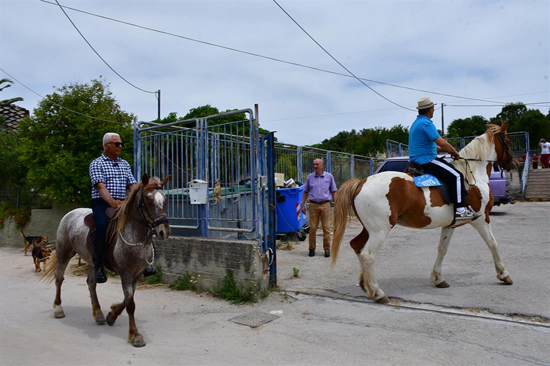 Αργολίδα - Ναύπλιο - άλογα - εκλογές - αγρότης