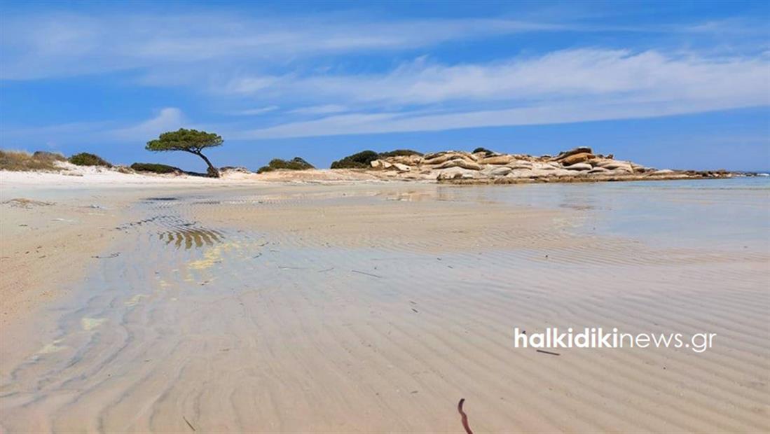 Χαλκιδική - άμπωτη - παραλία