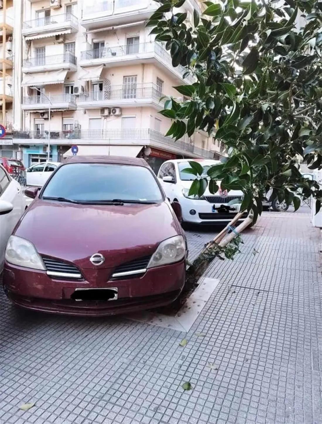 Θεσσαλονίκη - παρκάρισμα - κορμός δέντρου