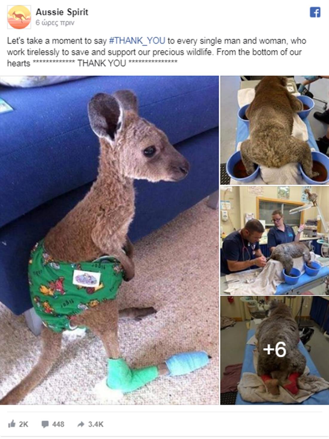Αυστραλία - εθελοντές - ζώα