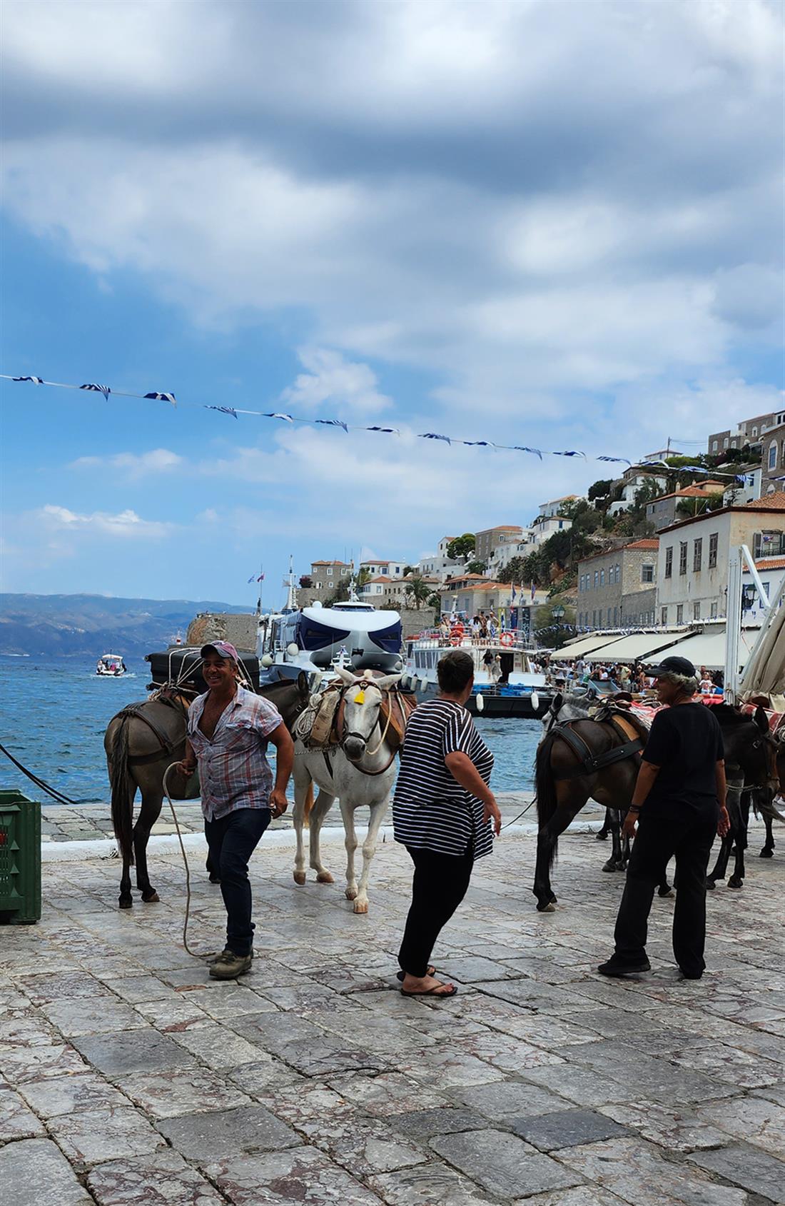 Ύδρα - κακοποίηση ζώων