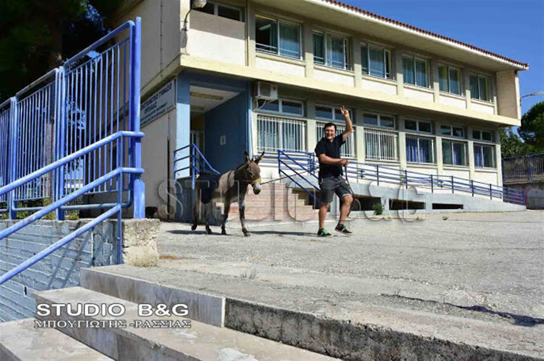 Ναύπλιο - Ψήφος - άλογο - γαϊδούρι