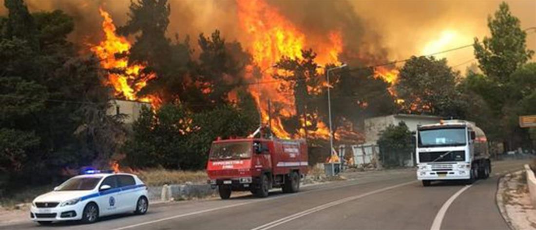 Φωτιά στα Βίλια: εκκενώσεις, καμένα σπίτια και αγωνία για τον Κιθαιρώνα