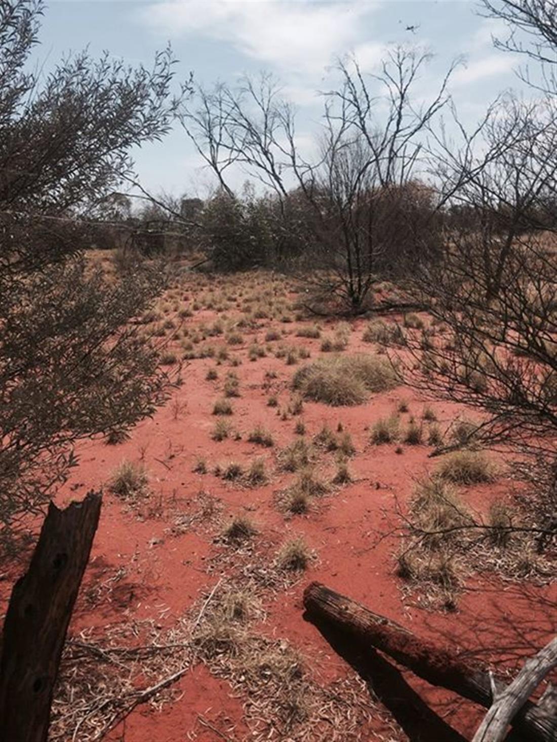 Αυστραλία - έρημος - Ρεγκ Φόγκερντι