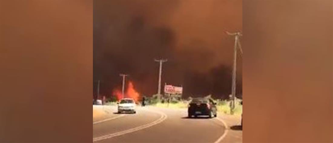 Φωτιές στη Χιλή: Νεκροί και βιβλική καταστροφή (εικόνες)