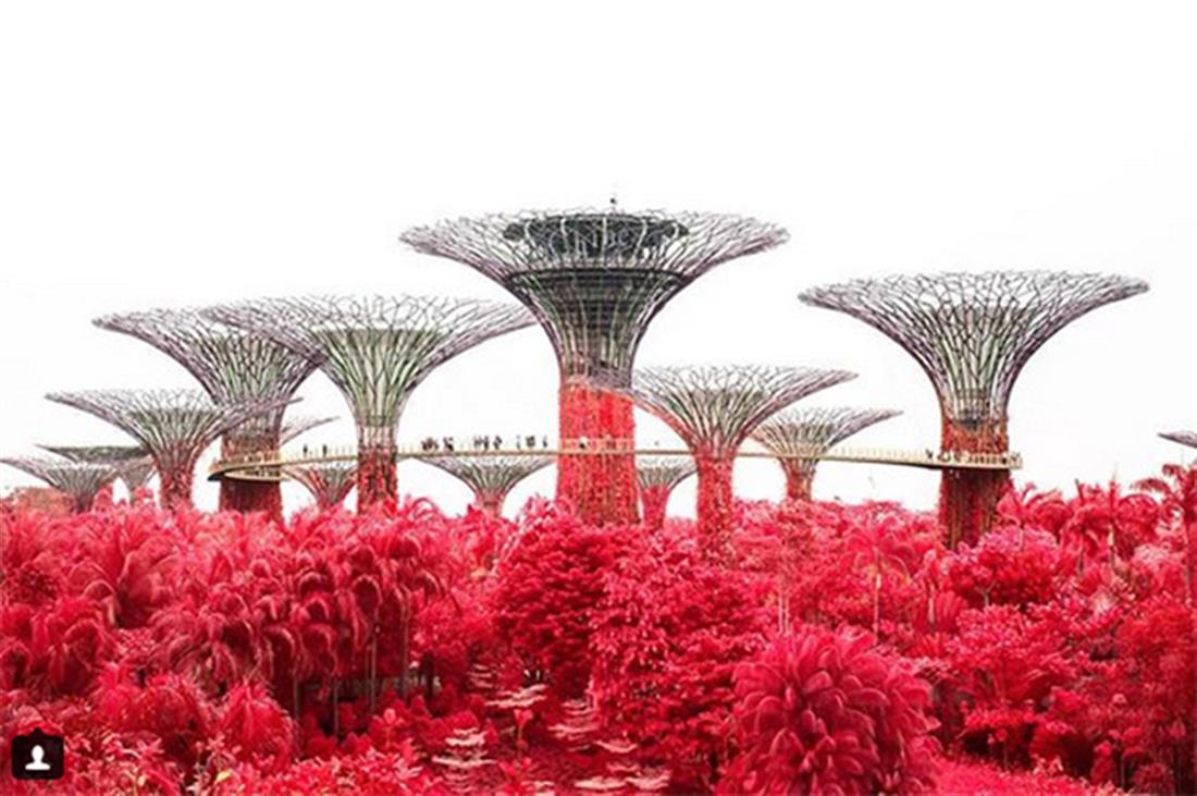 Φίνμπαρ Φάλον - Φαντασμαγορία Λουλουδιών - Σιγκαπούρη