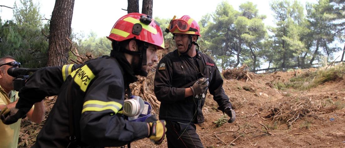 ΠΥΡΟΣΒΕΣΤΗΣ ΔΙΑΣΩΖΕΙ ΜΙΚΡΟ ΠΟΥΛΙ