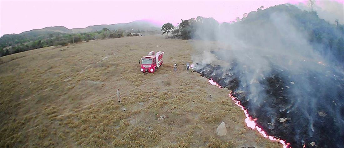 Φωτιά στον Αμαζόνιο: ανυπολόγιστη η οικολογική καταστροφή (εικόνες)