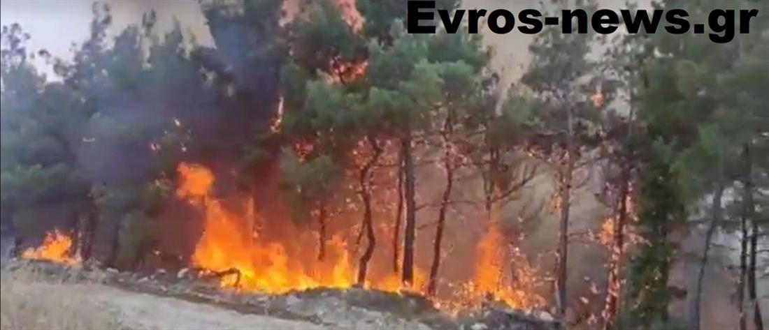 Φωτιά στον Έβρο: δύσκολη η νύχτα - ενισχύονται οι πυροσβεστικές δυνάμεις (βίντεο)