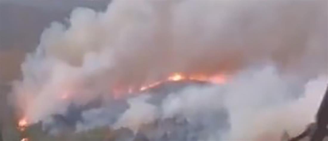 Τουρκία: Έβαλε φωτιά στο δάσος επειδή καυγάδισε με συγγενείς του (βίντεο)