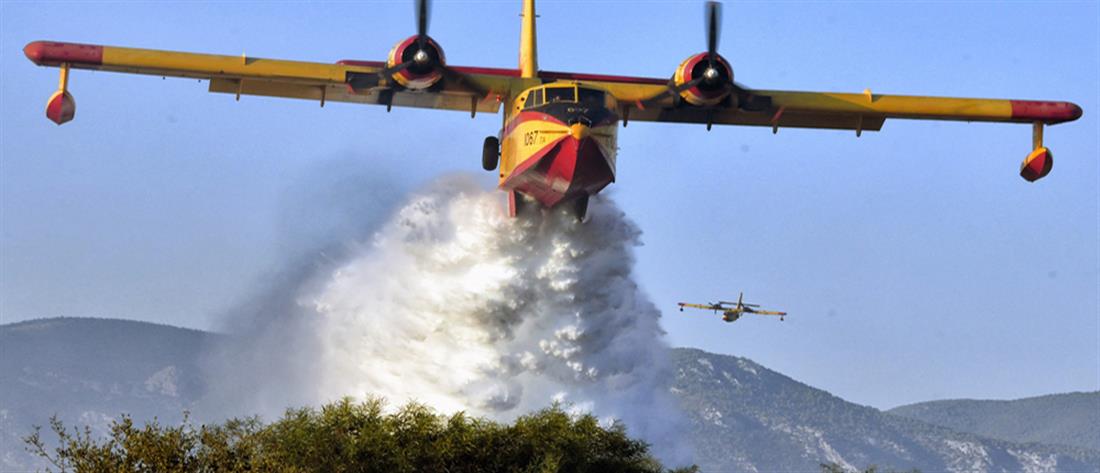 Φωτιά στη Θεσπρωτία - Επιχειρούν και αεροσκάφη