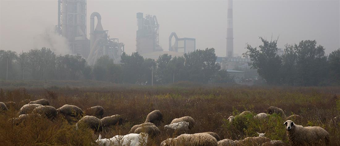 Κίνα: Πρωτοφανής καύσωνας πλήττει τη χώρα