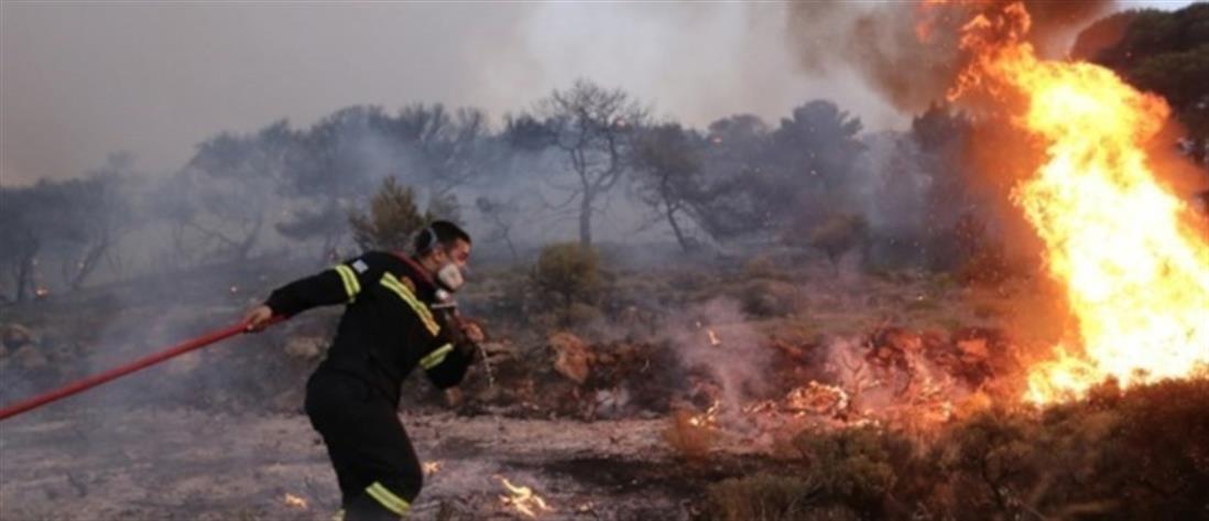 Ηλεία: φωτιά σε αγροτοδασική έκταση