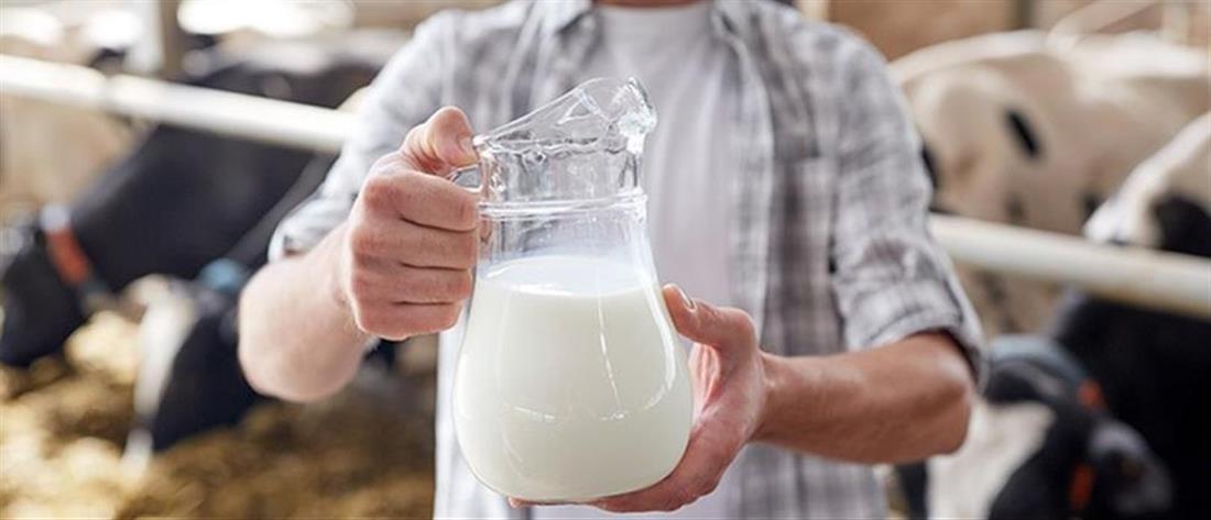 Παγκόσμια Ημέρα Γάλακτος: 15 + 1 απαντήσεις για το γάλα που θες να γνωρίζεις