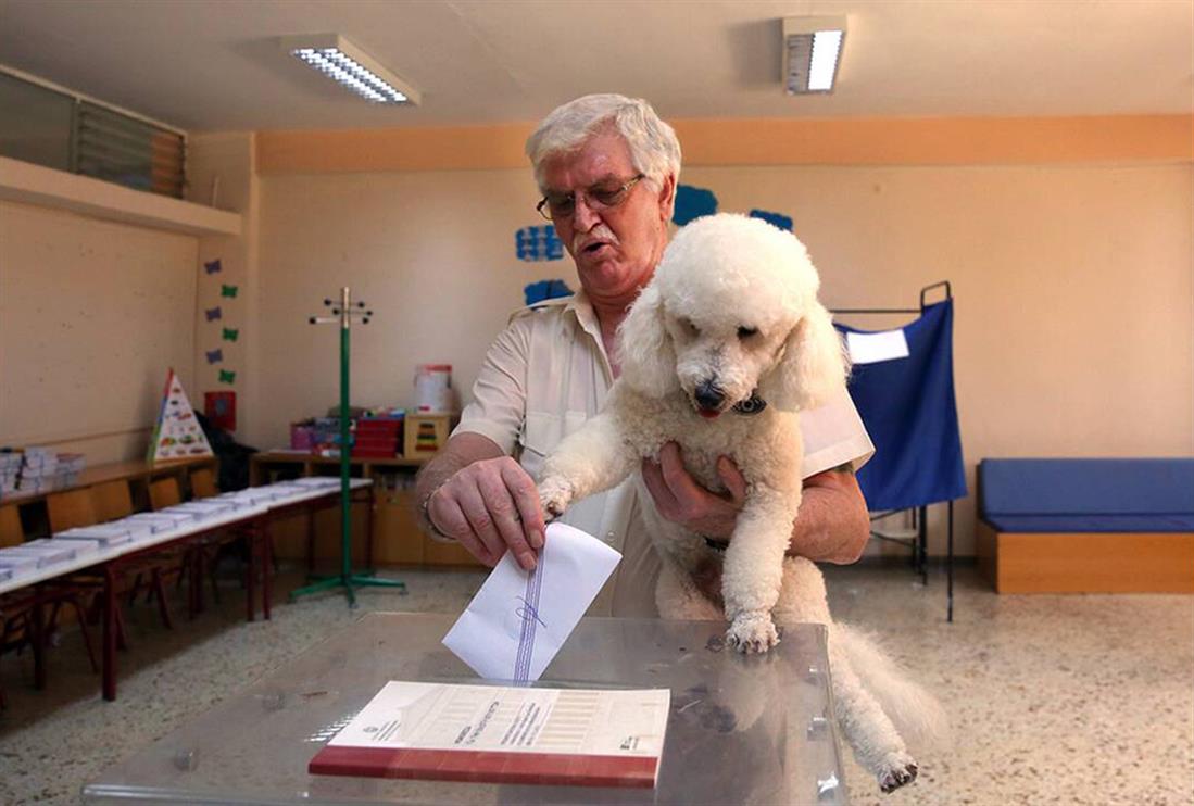 σκύλος - εκλογές -κάλπες