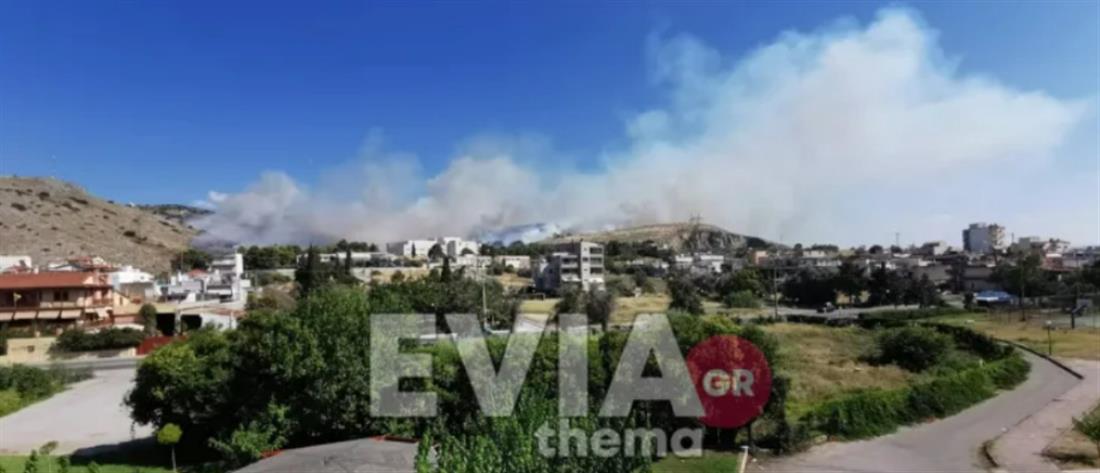 Χαλκίδα: Φωτιά κοντά στο νοσοκομείο (βίντεο)
