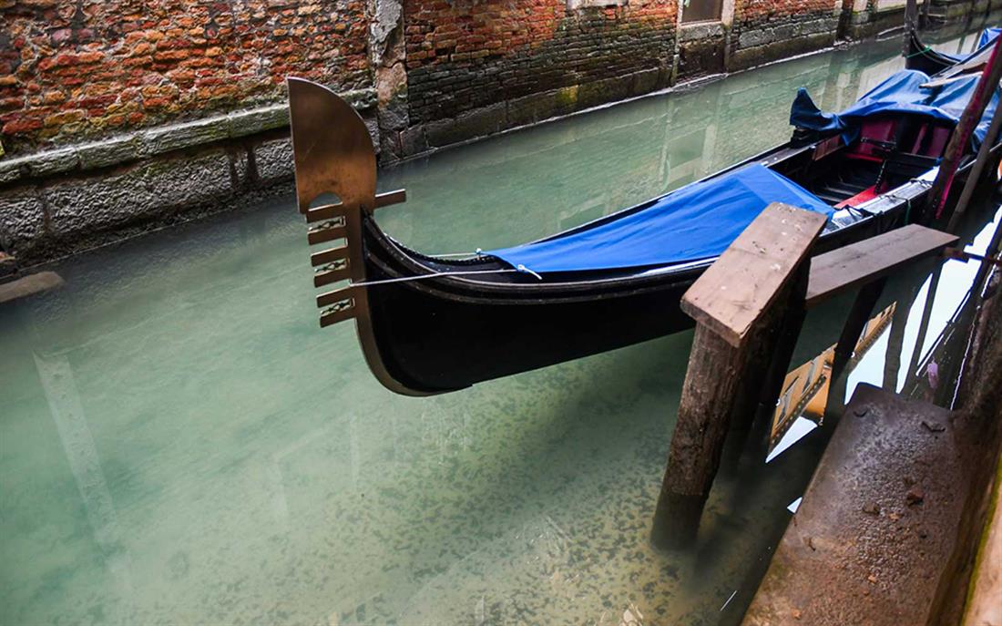 Βενετία - δελφίνια - κύκνοι - καθαρά νερά