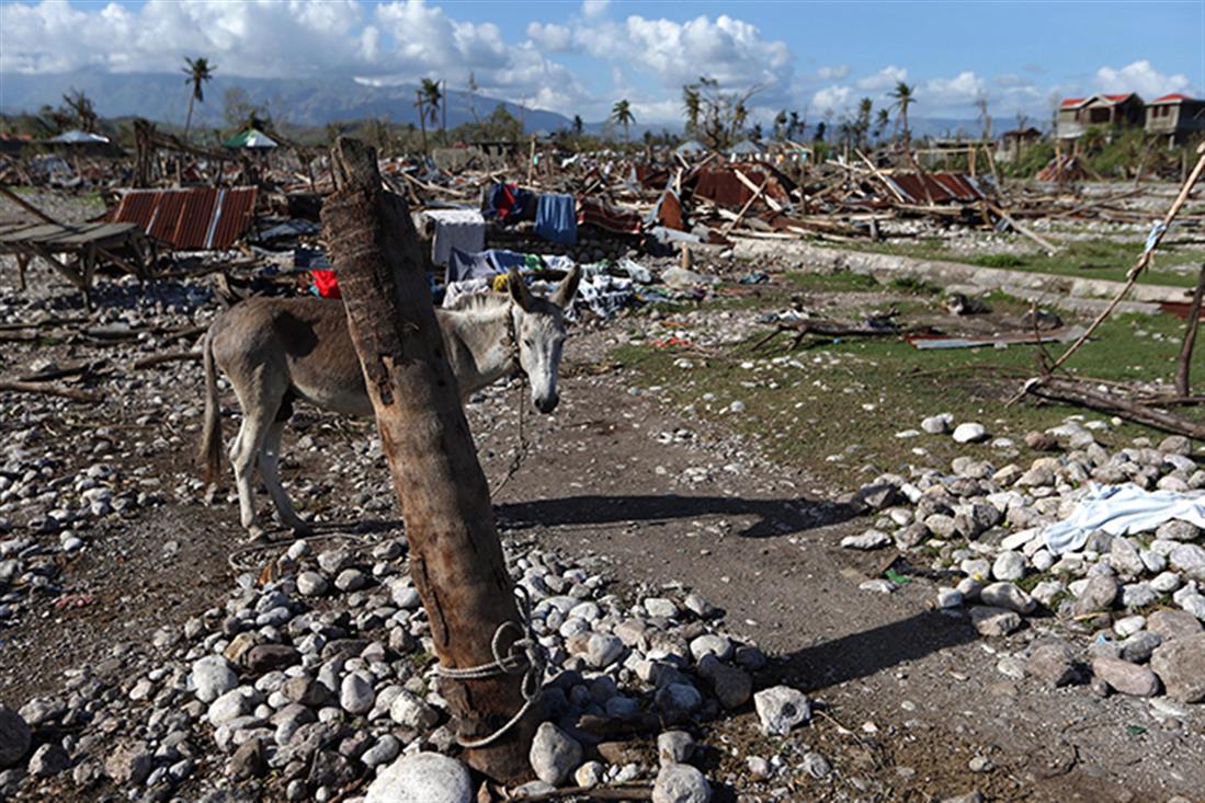 Tυφώνας Μάθιου - Αϊτή