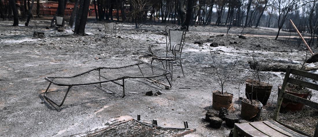 Φωτιές: πάνω από 650000 στρέμματα καμένα στην Ελλάδα
