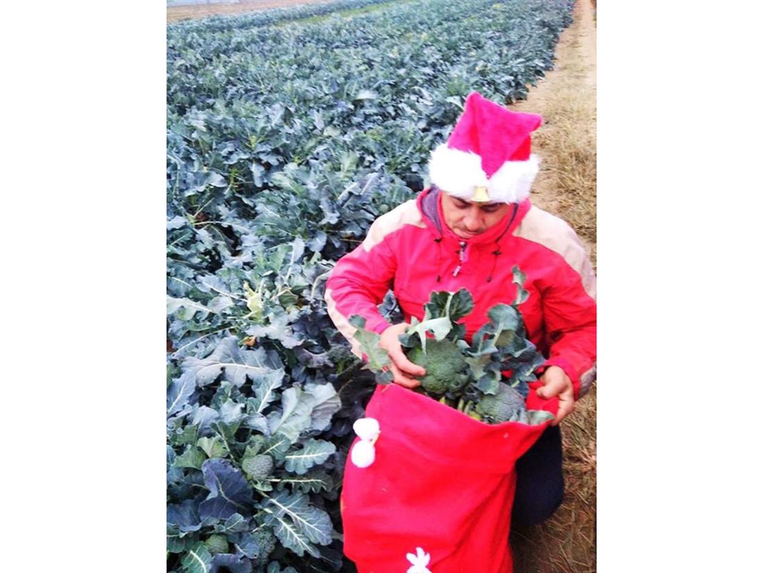 Κιλκίς - Αγρότης - λαχανικά - χριστουγεννιάτικη μουσική