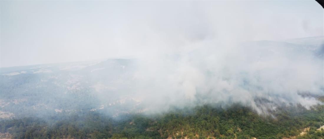 Φωτιές - Δαδιά, Ηλεία, Λέσβος: τιτάνια μάχη στα “πύρινα” μέτωπα (εικόνες)