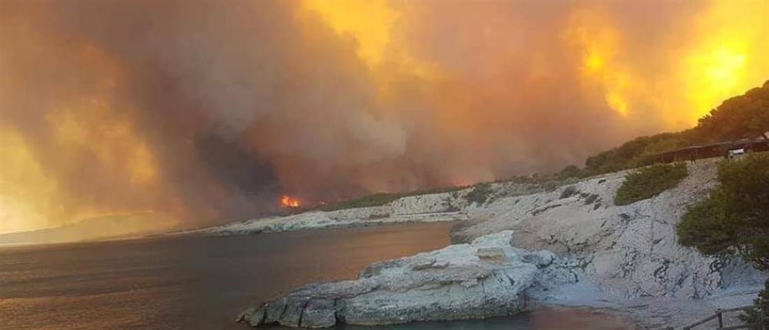 Φωτιά στη Μασσαλία: Τουρίστες κατέφυγαν στην παραλία για να σωθούν από τις φλόγες