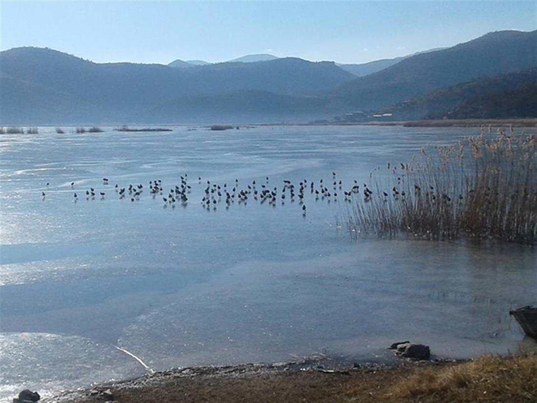 Καστοριά - παγωμένη λίμνη - πάπιες