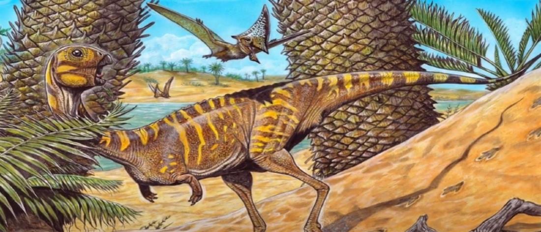 Δεινόσαυρος χωρίς δόντια ανακαλύφθηκε στη Βραζιλία (εικόνες)